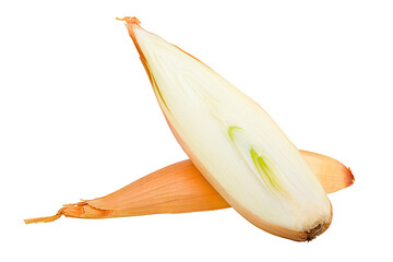 onion, shallot, isolated on white background, full depth of field
