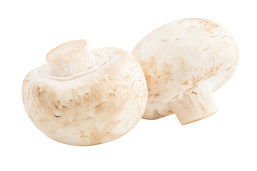 mushroom, champignon, isolated on white background, full depth of field
