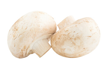 mushroom, champignon, isolated on white background, full depth of field