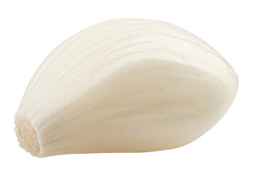 garlic, isolated on white background, full depth of field