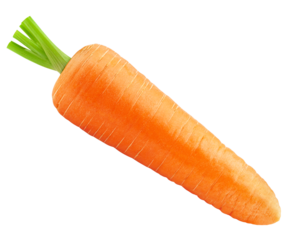 carrot isolated on white background, full depth of field