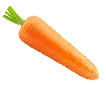 carrot isolated on white background, full depth of field