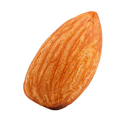 almond isolated on white background, full depth of field