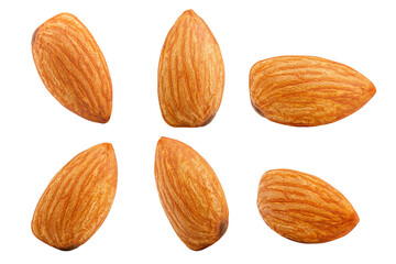 almond isolated on white background, full depth of field