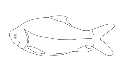 Fish Line art vector Illustration
