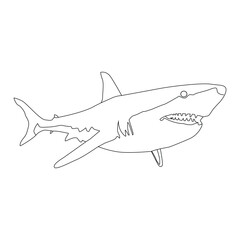 Fototapeta na wymiar Shark Line art vector Illustration