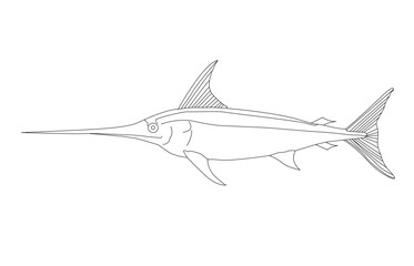 Swordfish Line art Illustration vector, Swordfish vector