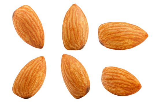 almond isolated on white background, full depth of field