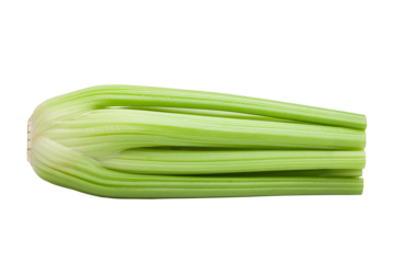celery isolated on white background, full depth of field