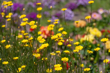 森町、波多野エクスプレスガーデン