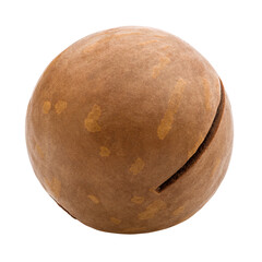 macadamia, nut, isolated on white background, full depth of field