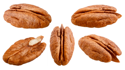 pecan, nut, isolated on white background, full depth of field