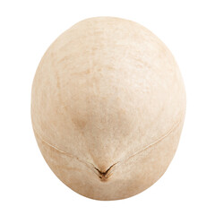 pecan, nut, isolated on white background, full depth of field