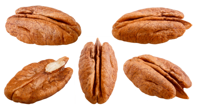 pecan, nut, isolated on white background, full depth of field