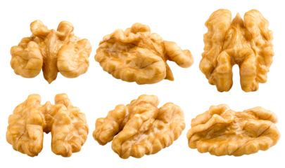 walnut, nut, isolated on white background, full depth of field