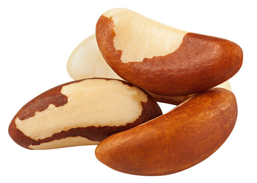 Brazil Nut isolated on white background, full depth of field