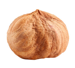 hazelnut isolated on white background, full depth of field