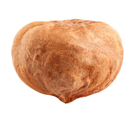 hazelnut isolated on white background, full depth of field