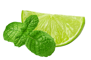 Lime and mint leaves isolated on white background, full depth of field
