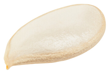 Pumpkin seed, isolated on white background, full depth of field