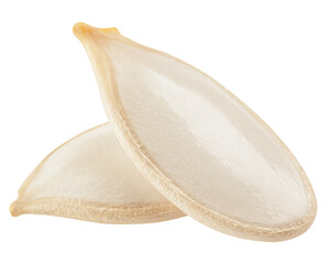 Pumpkin seed, isolated on white background, full depth of field