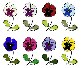 Set of multicoloured violets (wittrockiana)