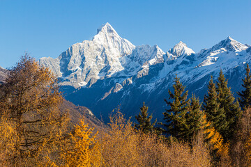 Siguniang mountain in Sichuan province, China