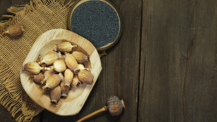 Dry poppy heads and seeds
