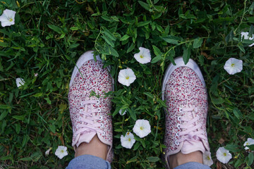Arvensis flowers among green grass and pink female sneakers, top view, summer concept