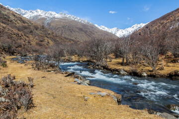 Fototapeta na wymiar River in Haizi valley near Siguniang mountain in Sichuan province, China