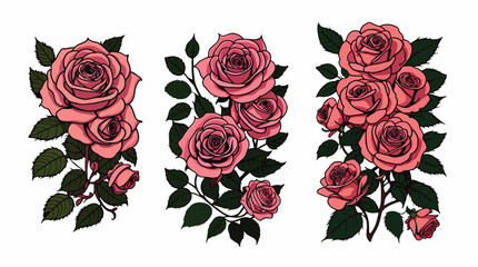 set of roses on white