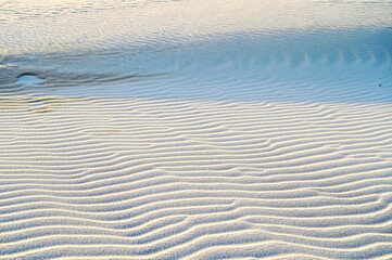鳥取砂丘の風紋　鳥取県鳥取市
