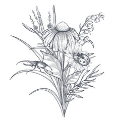 A bouquet of early spring flowers with ladybug. Botanical style of engraving illustration. Vector. Black and white