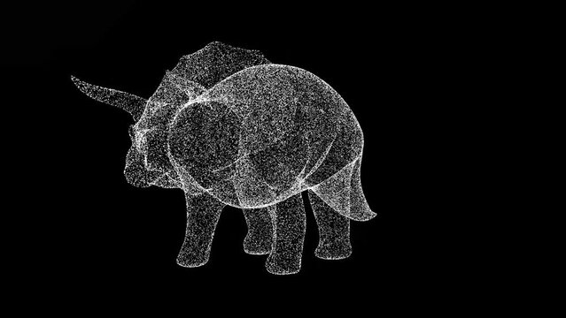 3D dinosaur Triceratops rotates on black background. Object made of shimmering particles. Wild animals concept. For title, text, presentation. 3d animation 60 FPS