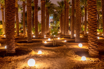 Lots of palms illuminated at night, Diriyah, Riyadh, Saudi Arabia - obrazy, fototapety, plakaty