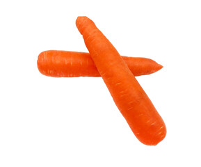 Two carrot isolated on white background. Fresh vegetable, object, harvest and ingredient for cooking food.