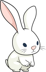 Cute rabbit