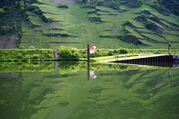 Anlegestelle für Boote und Yachten im Sommer im Yachthafen an der Mosel zwischen Weinbergen in...