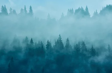 Papier Peint photo Lavable Forêt dans le brouillard Abstract landscape in the mountains, with fog