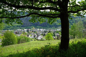 Panorama an der Mosel mit grandioser Landschaft, grüner Wiese und Wohnhäusern zwischen Berg und...