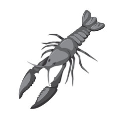 Grayscale Crayfish or Lobster sea animal monochrome vector illustration isolated on square white background. Monochrome shades of gray simple and flat styled drawing.