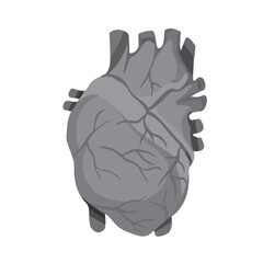 Grayscale human heart vector illustration isolated on white square background. Monochrome shades of gray simple and flat styled drawing.
