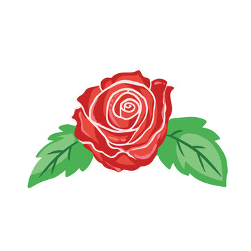 Red rose with two green leaves vector illustration isolated on square white background. Simple and flat art styled drawing.