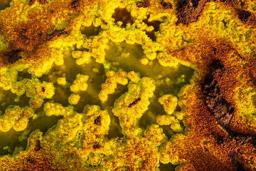 Dallol, a terrestrial hydrothermal system at a cinder cone volcano in the Danakil Depression,...