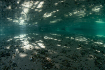 Sunlight filtering through a rainforest mixes with shadows on a shallow sandy seafloor in West Papua, Indonesia. This beautiful, tropical region harbors extraordinary biodiversity.