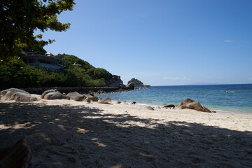 Obraz premium beach with trees