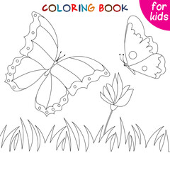 Butterflies collection. Butterflies in the meadow. Coloring book page