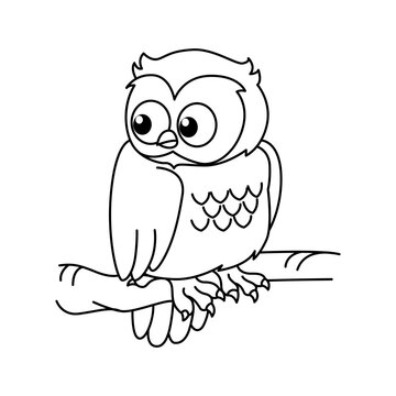Funny owl cartoon vector coloring page