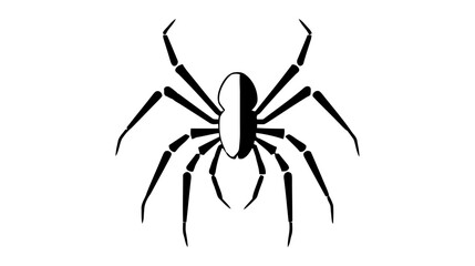 Spider black icon, logo. Vector illustration isolated on white background