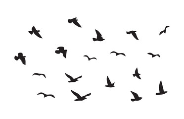 Fototapeta na wymiar Flying Birds vector illustration